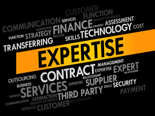 Expertise words cloud, business concept