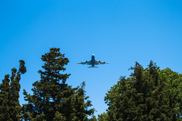 big plane over the treetops
