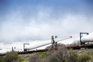 Naklejka premium Wings' train transportation