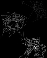 three white webs collection