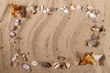 sand texture with shells framing