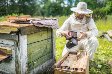 Beekeeper is working with bees and beehives on the apiary.