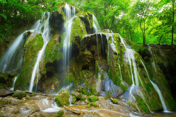 Cascade falls over mossy rocks in forest