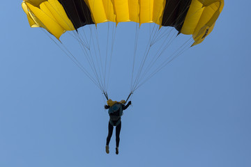 Paraglider flying in summer day