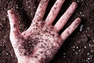 土と人間の手