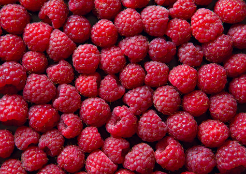 Background sweet fresh raspberries closeup