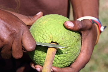 Man opening a breadfruit