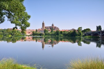 Fototapeta premium Salamanca cathedral.
