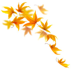 Naklejka na ściany i meble Falling autumn maple leaves on white, vector illustration