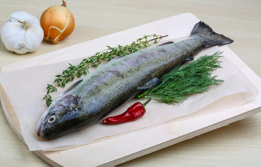Raw trout