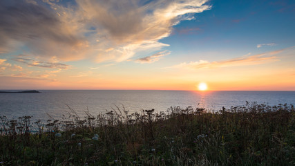 Panoramic sunset on the sea with local flora of Cornwall, 16:9 aspect ratio.