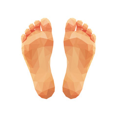 polygonal two feet low poly right and left - 88679169