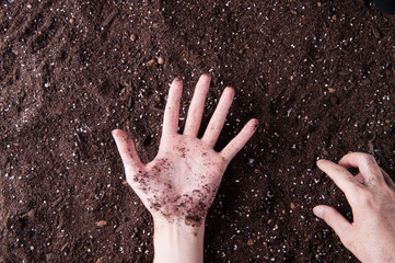 土を触っている手