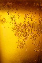 Background with yellow beer