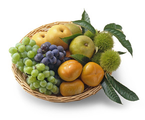 フルーツ集合(秋の味覚)