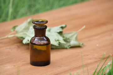 essential oil in little bottle and medical flowers herbs