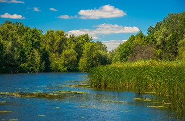 Sunny day on the quiet river