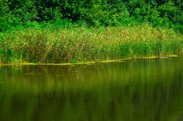 Sunny day on the quiet river