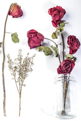 dried rose with glass vase