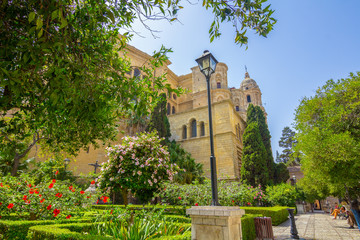 Naklejka premium Gardens of the Cathedral of Malaga, Spain