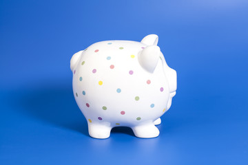Pink piggy bank on blue background