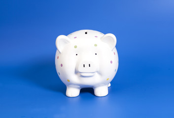 Pink piggy bank on blue background
