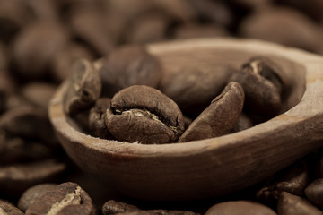 Roasted beans on old wooden background