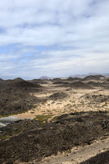 Isla de Los Lobos