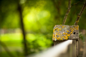 Stone fence and blurred forest background