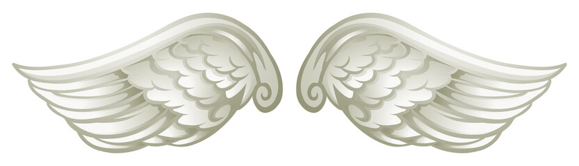 Pair of white wings