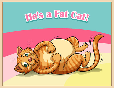 Fat cat with text