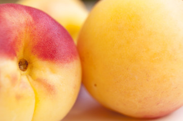 apricots