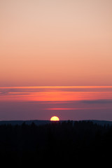 Sun setting over forest