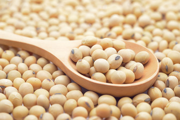 Soy beans with wooden spoon