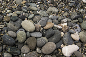 Sea stones