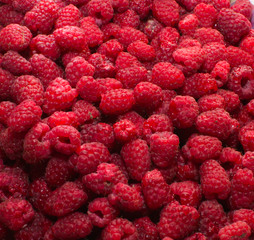 raspberry