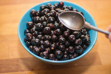 currant