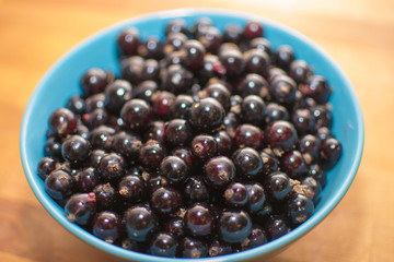 currant