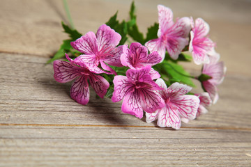 Summer flower lying on the wooden table background