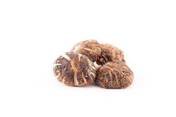 Shiitake mushroom on the White background.