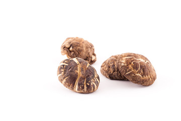 Shiitake mushroom on the White background.