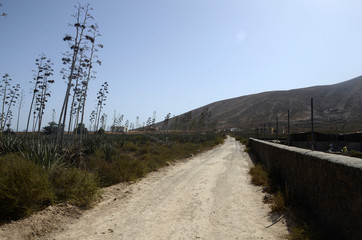 Safari off road à Fuerteventura
