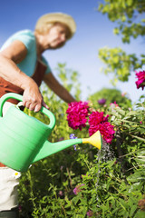 Senior woman watering flowers in her garden - selective focus