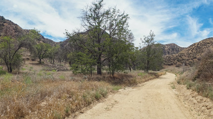 Panorama of Dirt Road in California