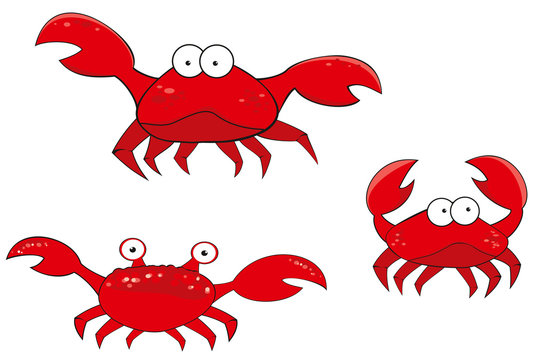 crab cartoon