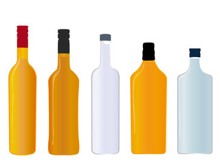 Different Kinds of Spirits Full Bottles