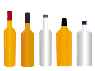 Different Kinds of Spirits Empty Bottles