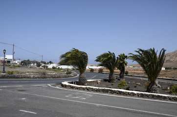 Safari off road à Fuerteventura