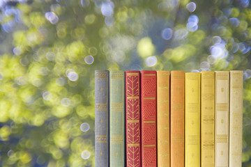 Naklejka premium row of books on blurred nature background, free copy space
