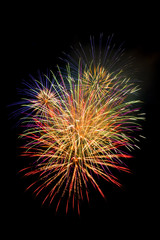 Fototapeta premium firework isolated on black background, sumida river firework fes